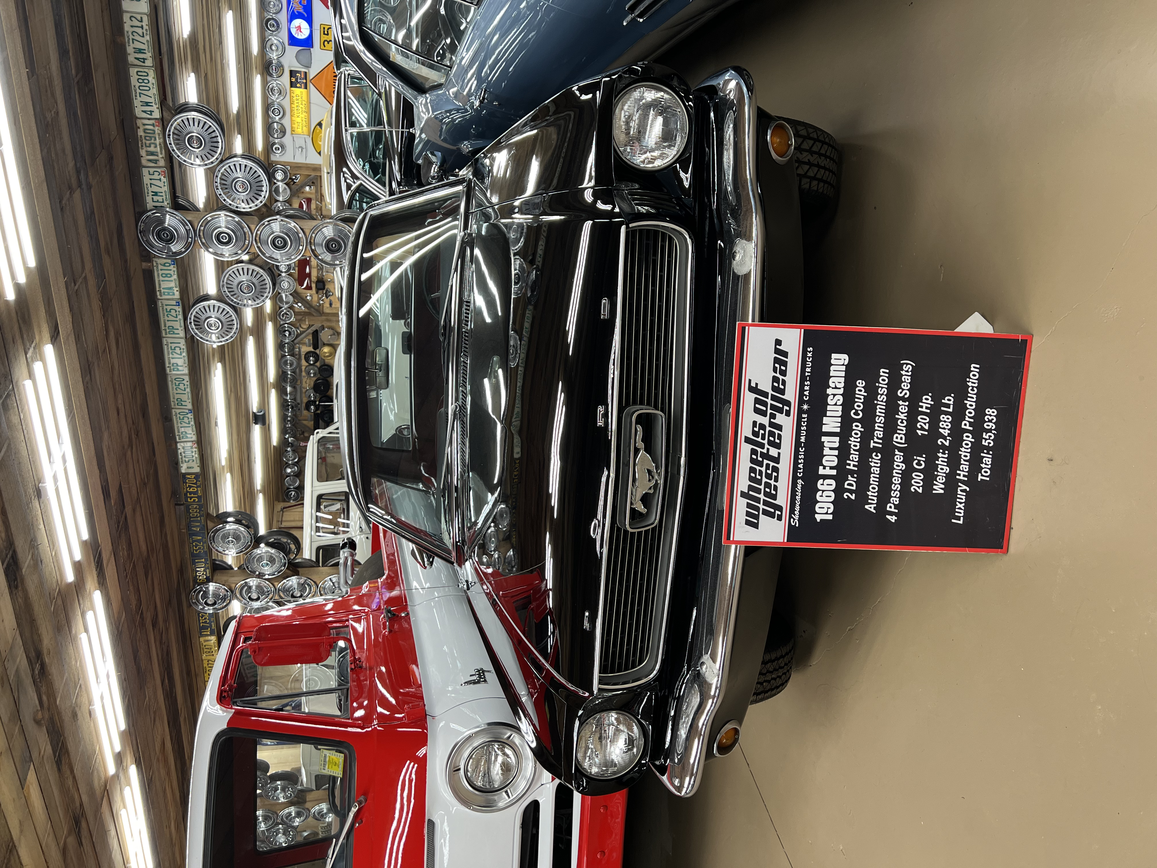 ./2024/10 - Myrtle Beach/IMG_3247.jpg